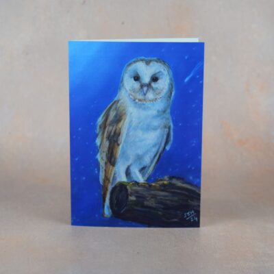 DSC_0082 Barn Owl