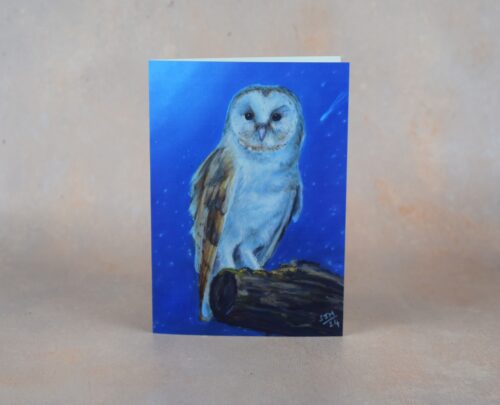 DSC_0082 Barn Owl