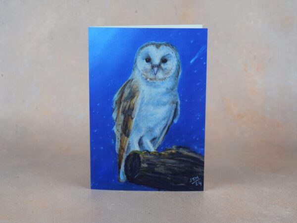 DSC_0082 Barn Owl