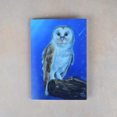 DSC_0083 Barn Owl