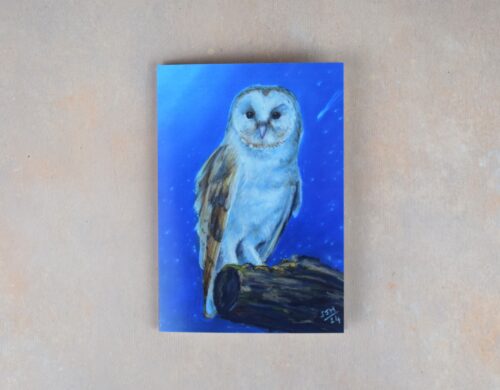 DSC_0083 Barn Owl