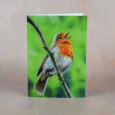 Singing Robin