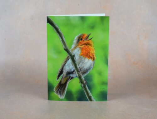 Singing Robin