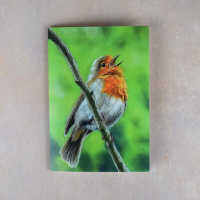 Singing Robin