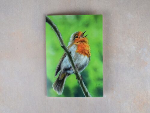 Singing Robin