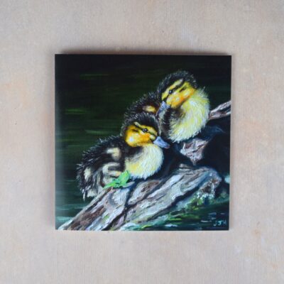 DSC_0092 Ducklings