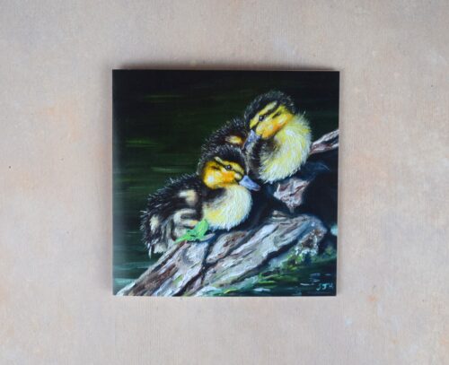 DSC_0092 Ducklings