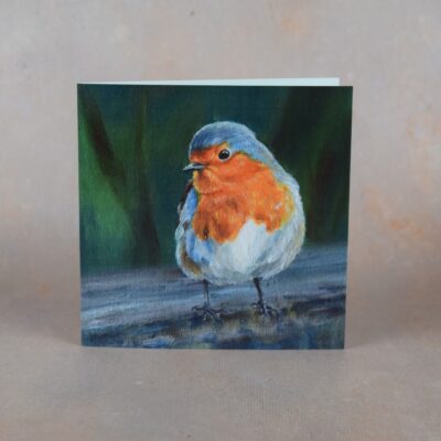DSC_0097 Robin 2