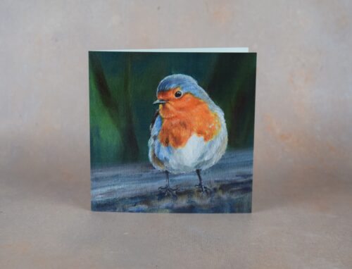DSC_0097 Robin 2
