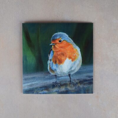 DSC_0098 Robin 2