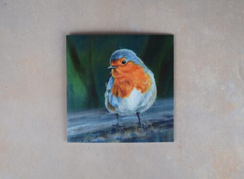 DSC_0098 Robin 2
