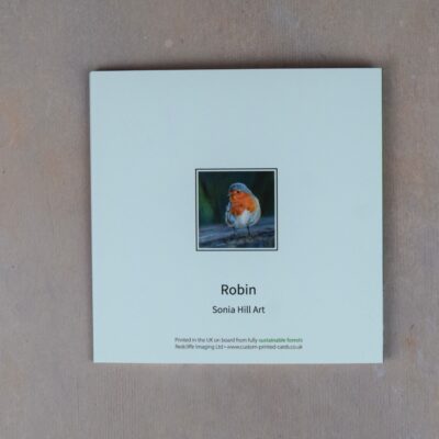 DSC_0099 Robin 2