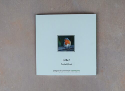 DSC_0099 Robin 2