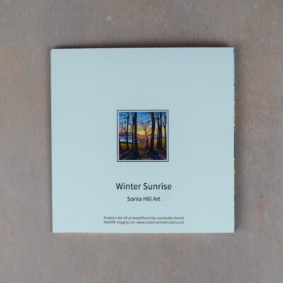 DSC_0102 Winter Sunrise