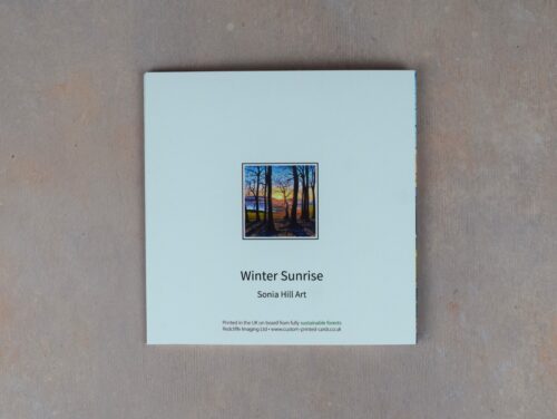 DSC_0102 Winter Sunrise
