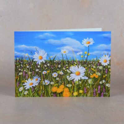 DSC_0106 Wild Flower Meadow