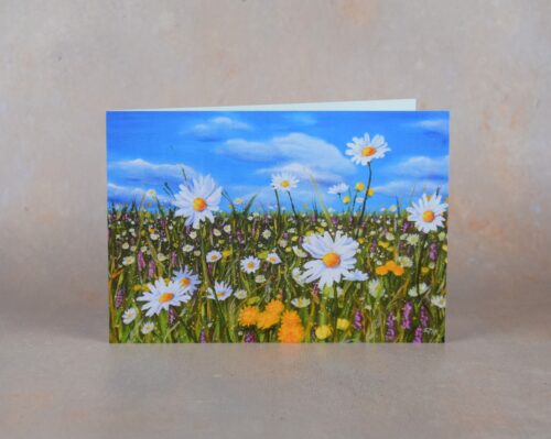 DSC_0106 Wild Flower Meadow