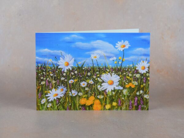 DSC_0106 Wild Flower Meadow