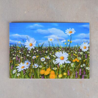 DSC_0107 Wild Flower Meadow