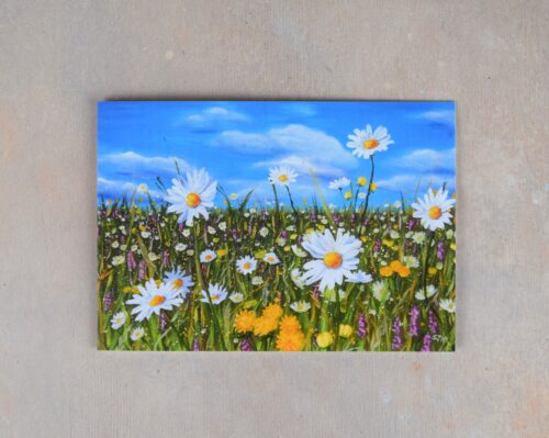 DSC_0107 Wild Flower Meadow