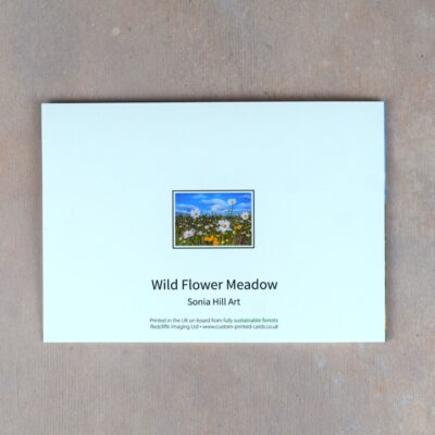 DSC_0108 Wild Flower Meadow