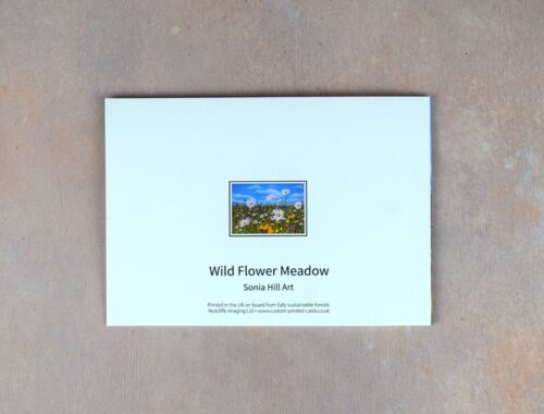 DSC_0108 Wild Flower Meadow