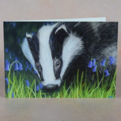 DSC_0109 Badger in the Bluebells