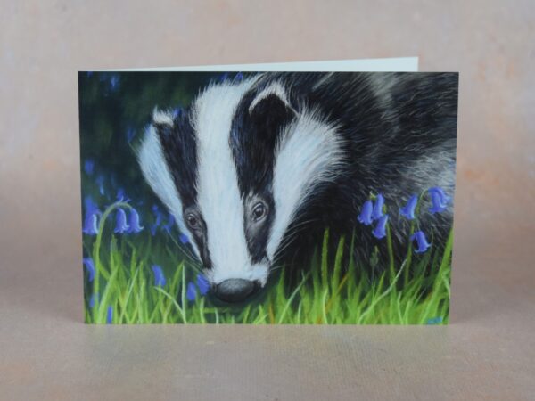 DSC_0109 Badger in the Bluebells