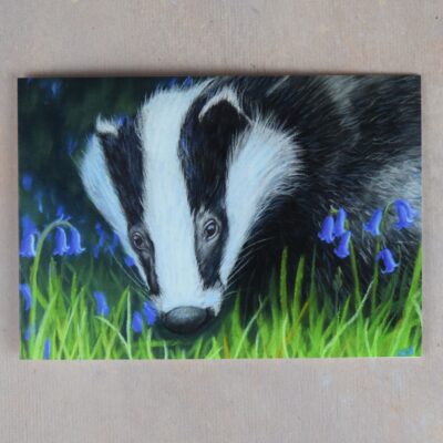 DSC_0110 Badger in the Bluebells