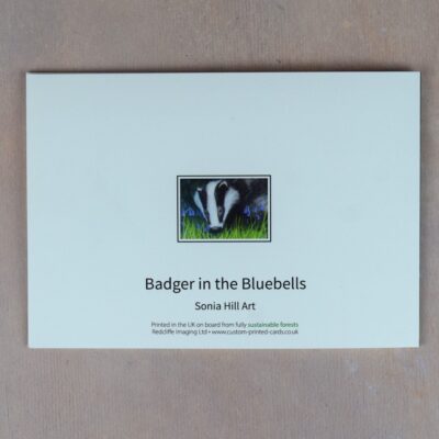 DSC_0111 Badger in the Bluebells