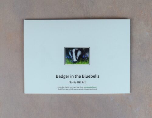 DSC_0111 Badger in the Bluebells