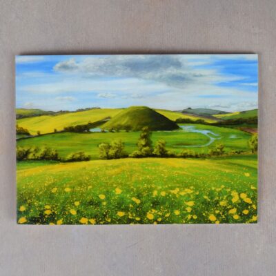 DSC_0116 Spring at Silbury Hill