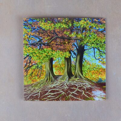 Avebury Beeches