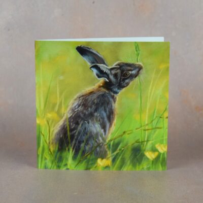 DSC_0118 Hare in the Meadow