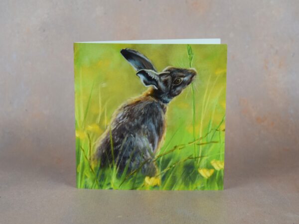 DSC_0118 Hare in the Meadow