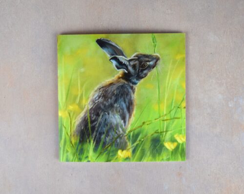 DSC_0119 Hare in the Meadow