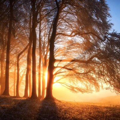 Frosty Sunset at Furze Knoll