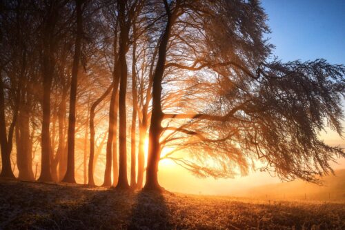 Frosty Sunset at Furze Knoll