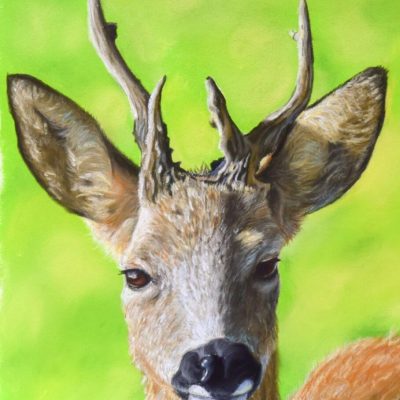 Roe Buck Roe Buck, giclée print on paper