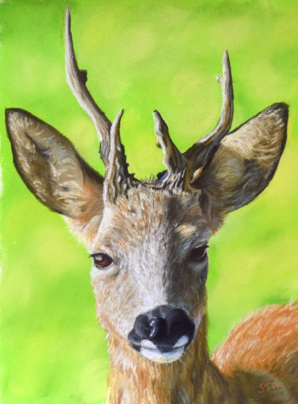 Roe Buck Roe Buck, giclée print on paper