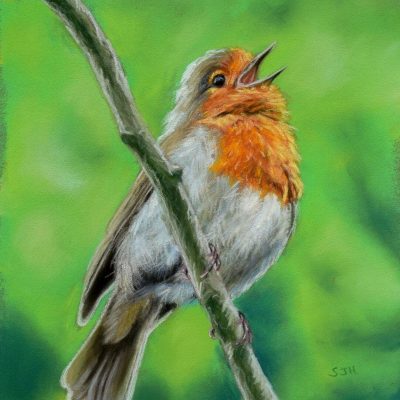 Singing Robin Singing Robin, giclée print on paper