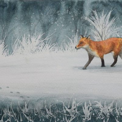Winter Fox Winter Fox, giclée print on paper