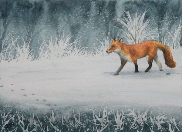 Winter Fox Winter Fox, giclée print on paper
