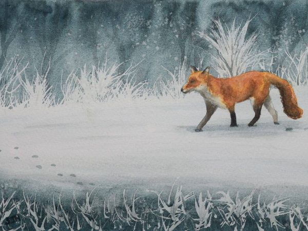 Winter Fox Winter Fox, giclée print on paper