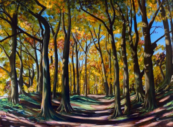 Woodland Walk Knoll Down in Autumn, giclée print on paper or stretched canvas