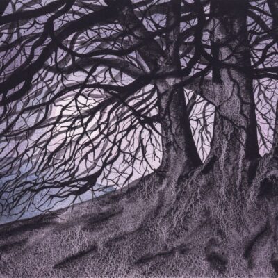Avebury Beech Trees by Moonlight