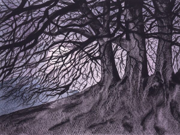 ave Avebury Beech Trees by Moonlight