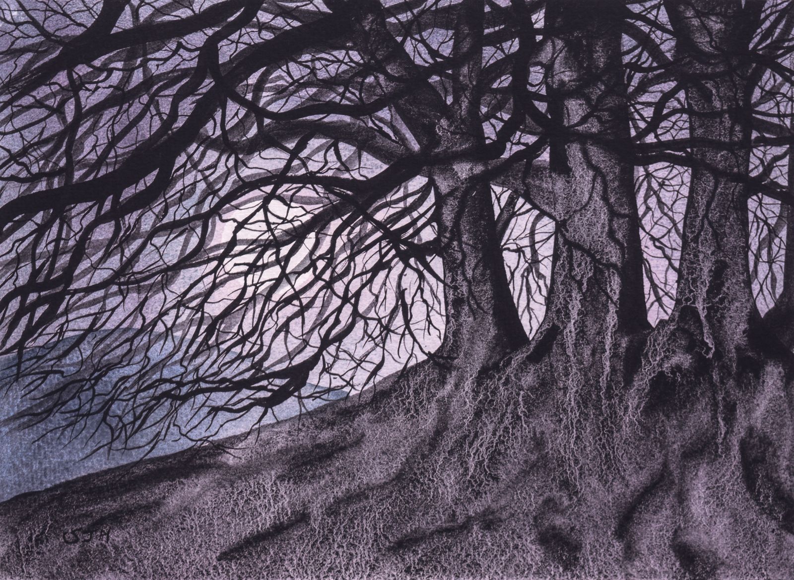 Avebury Beech Trees by Moonlight