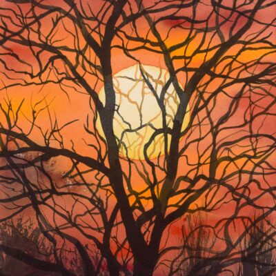 DSC_0001 (3) Sunset Through the Trees, giclée print on paper