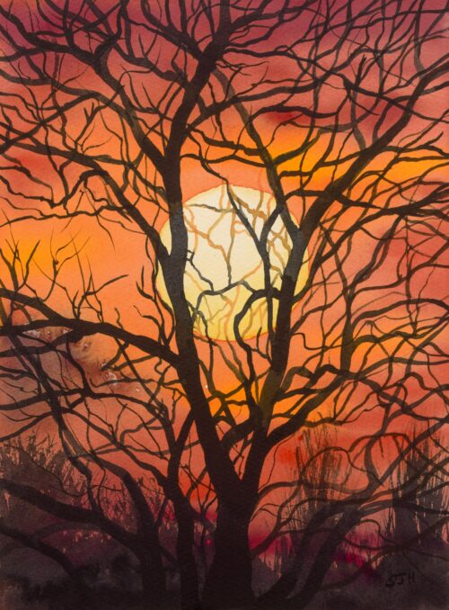 DSC_0001 (3) Sunset Through the Trees, giclée print on paper